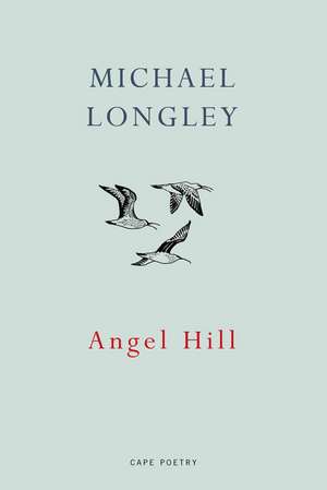 Angel Hill de Michael Longley