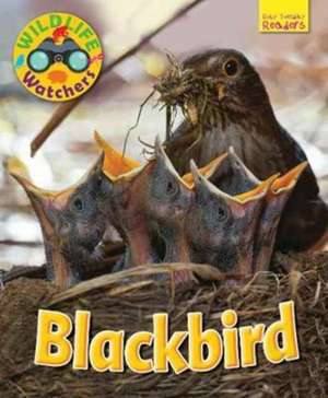 Wildlife Watchers: Blackbird de Ruth Owen