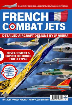 French Combat Jets in Profile de JP Viera