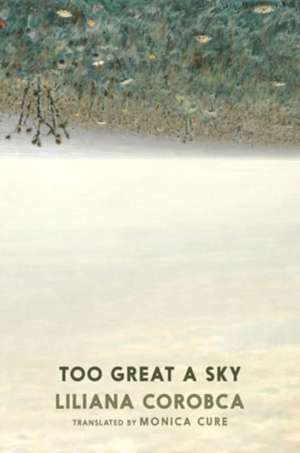 Too Great A Sky de Liliana Corobca