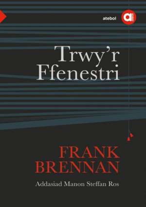 Cyfres Amdani: Trwy'r Ffenestri de Frank Brennan