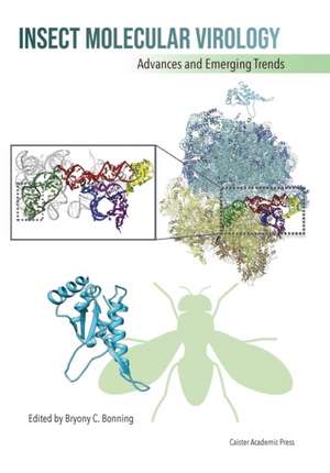 Insect Molecular Virology de Bryony C Bonning