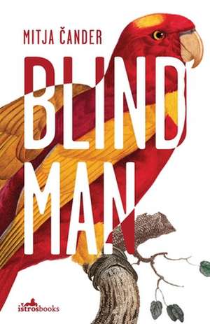 Blind Man de Mitja ¿Ander