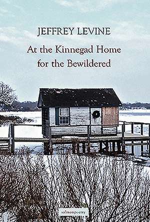 At the Kinnegad Home for the Bewildered de Jeffrey Levine