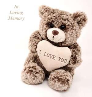 In Loving Memory Funeral Guest Book, Celebration of Life, Wake, Loss, Memorial Service, Love, Condolence Book, Funeral Home, Missing You, Church, Thoughts and In Memory Guest Book, Teddy (Hardback) de Lollys Publishing