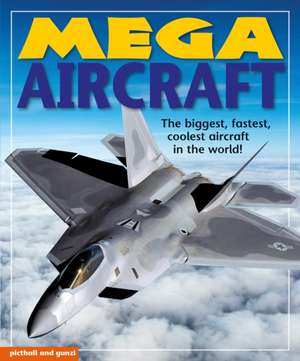 Mega Aircraft de Christiane Gunzi
