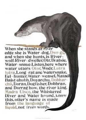 Jackie Morris The Names of the Otter Poster de Jackie Morris