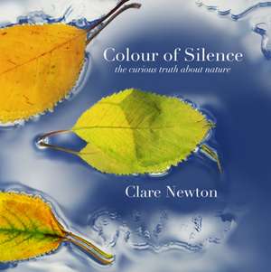 Colour of Silence de Clare Newton