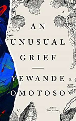 An Unusual Grief de Yewande Omotoso