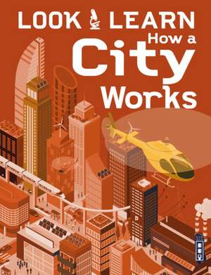 Woolf, A: Look & Learn: How A City Works de Alex Woolf