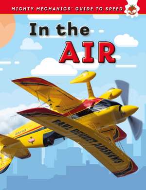 In The Air de John Allan