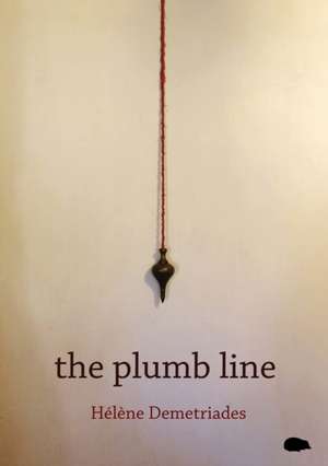 The Plumb Line de Hélène Demetriades