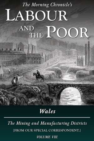 Labour and the Poor Volume VIII de Special Correspondent