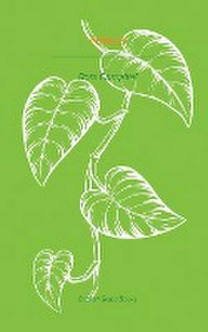 Pothos de Rosa Campbell