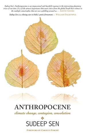 Anthropocene de Sudeep Sen