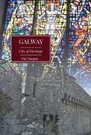 Galway de Pat Dargan