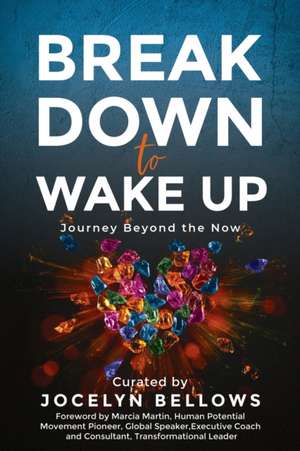 Break Down to Wake Up de Jocelyn Bellows