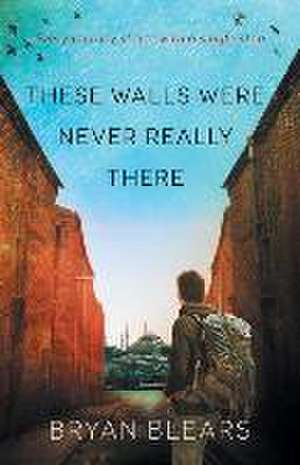 These Walls Were Never Really There de Bryan Blears