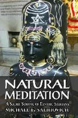 Natural Meditation: A Secret school of Tantra Sadhana de Michael E Salihovich