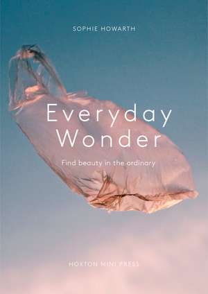 Everyday Wonder: Find beauty in the ordinary de Sophie Howarth