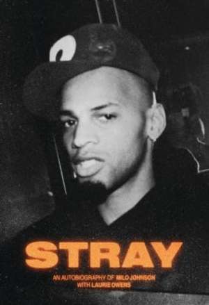 Stray de Laurie Owens