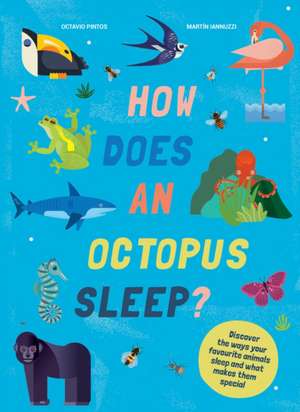 How Does An Octopus Sleep? de Martin Iannuzzi