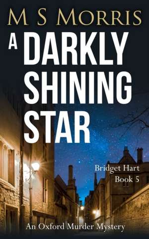A Darkly Shining Star de M S Morris
