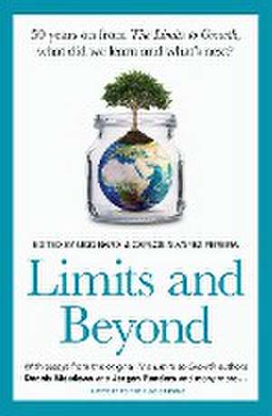 Limits and Beyond de Carlos Alvarez Pereira