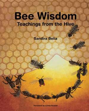 Bee Wisdom - Teachings from the Hive de Sandira Belia