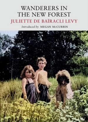 Wanderers in the New Forest de Juliette de Baïricli Levy