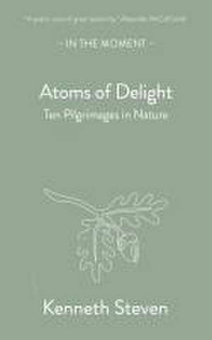 Atoms of Delight de Kenneth Steven