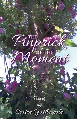 The Pinprick of the Moment de Claire Gathercole