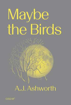 Maybe the Birds de A J Ashworth