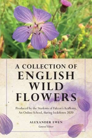 A Collection of English Wild Flowers de Michael E. Wills