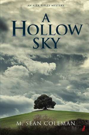 A Hollow Sky de M. Sean Coleman