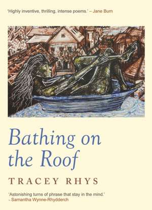 Bathing on the Roof de Tracey Rhys