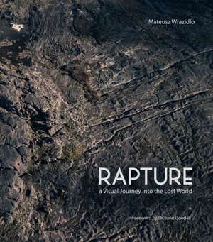 Rapture de Mateusz Wrazidlo