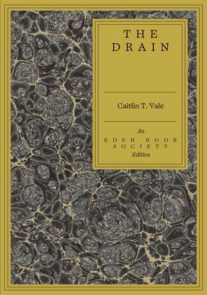 The Drain de Caitlin T. Vale