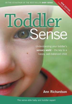 Toddler Sense de Ann Richardson