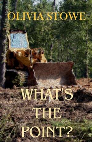 What's the Point?: Charlotte Diamond Mysteries 5