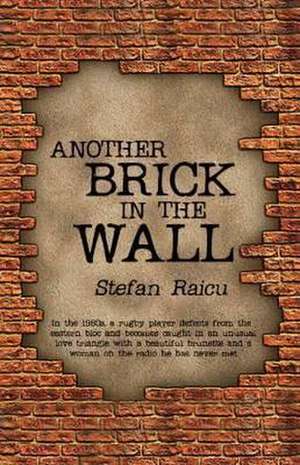 Another Brick in the Wall de Stefan Raicu