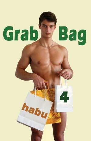 Grab Bag 4: A Gay Erotica Anthology