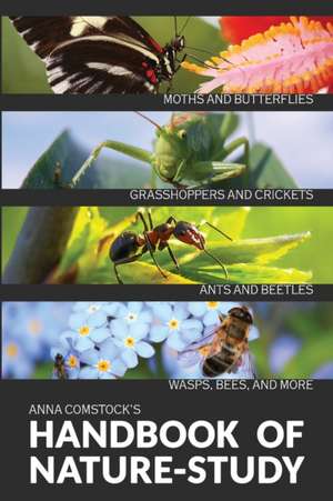 The Handbook Of Nature Study in Color - Insects de Anna B Comstock