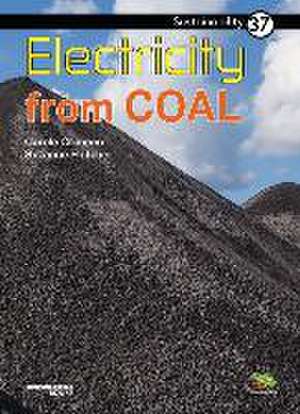 Electricity from Coal de Carole Crimeen