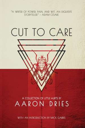 Cut to Care: A Collection of Little Hurts de Aaron Dries