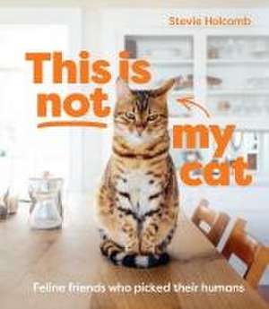 This is not my cat de Stevie Holcomb