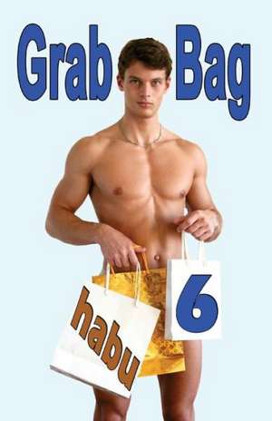 Grab Bag 6: A Gay Erotica Anthology