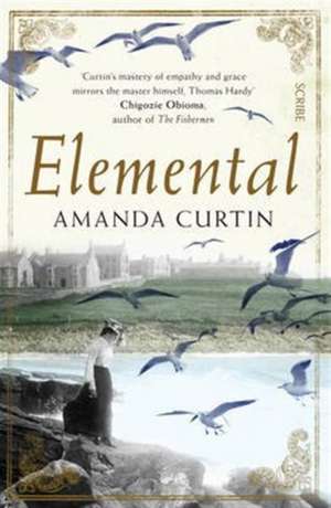 Elemental de Amanda Curtin