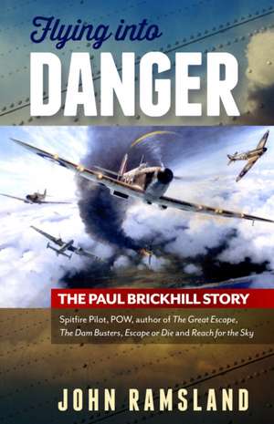 Flying Into Danger de John Ramsland