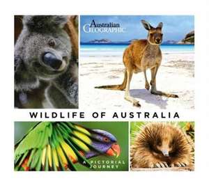 Pickrell, J: Wildlife of Australia